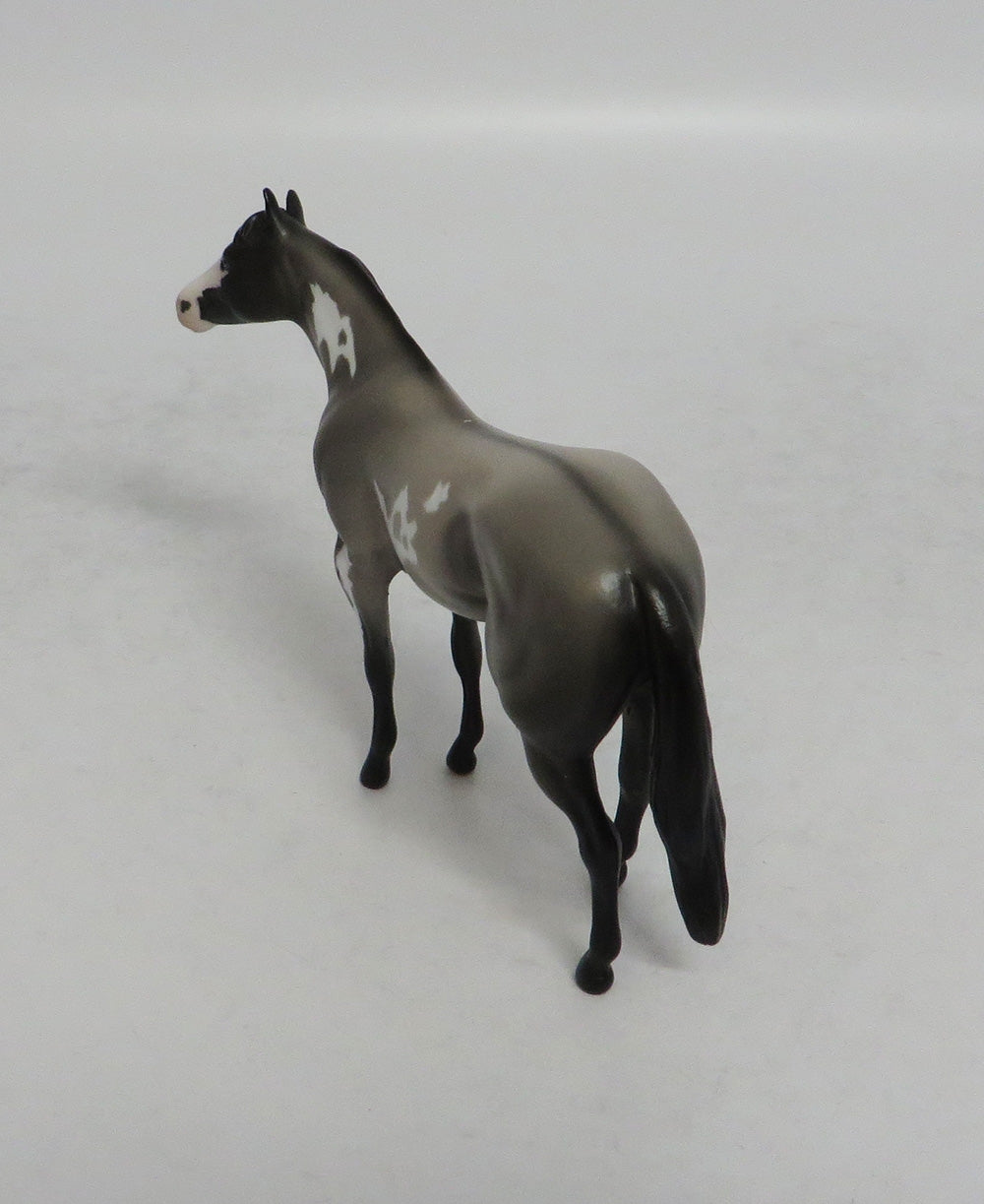 CLAYTON - LE8 GRULLA PINTO STOCK CHIP SHCF2018