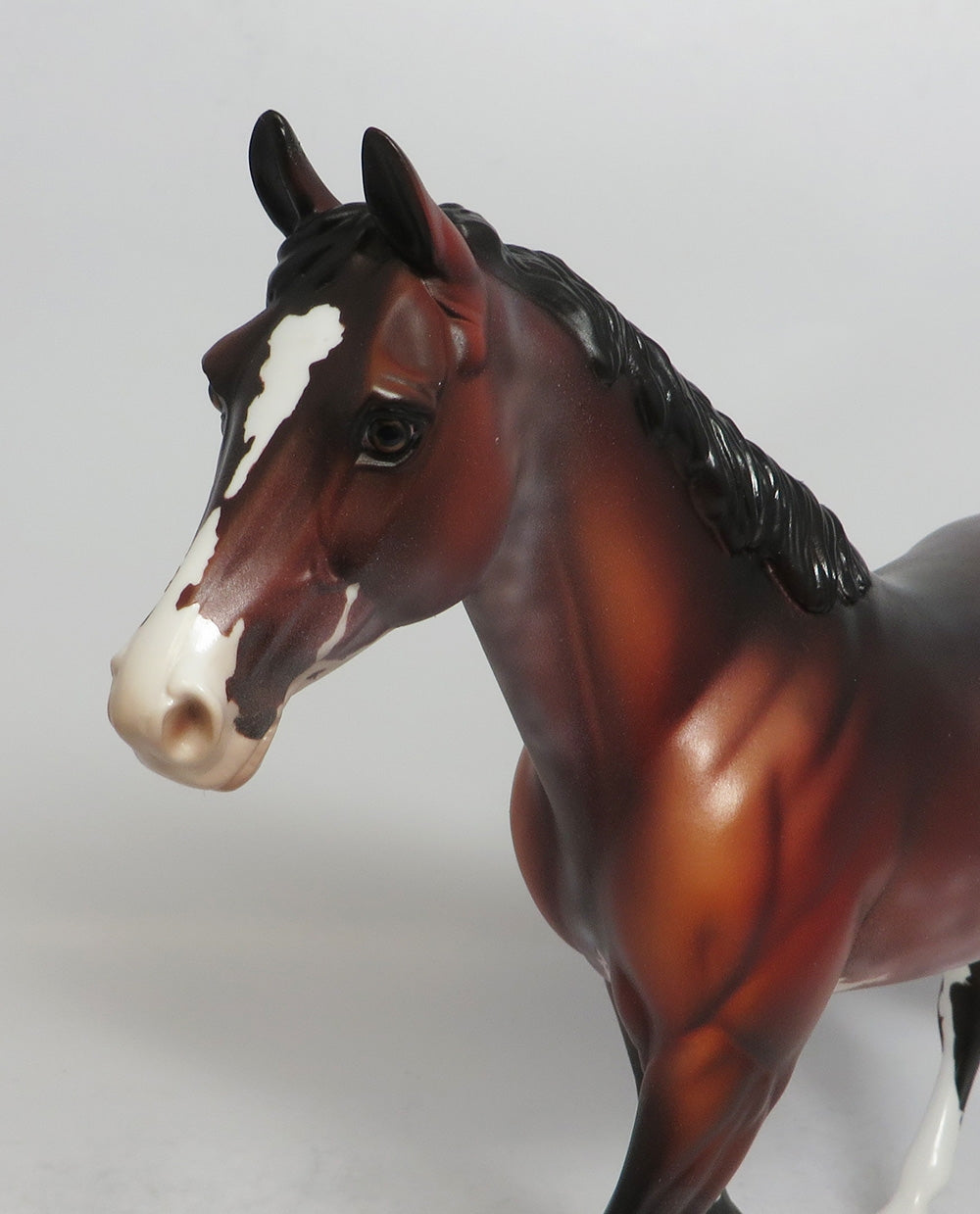 REDNECK - OOAK BAY PINTO PALOUSE MODEL HORSE SHCF2018