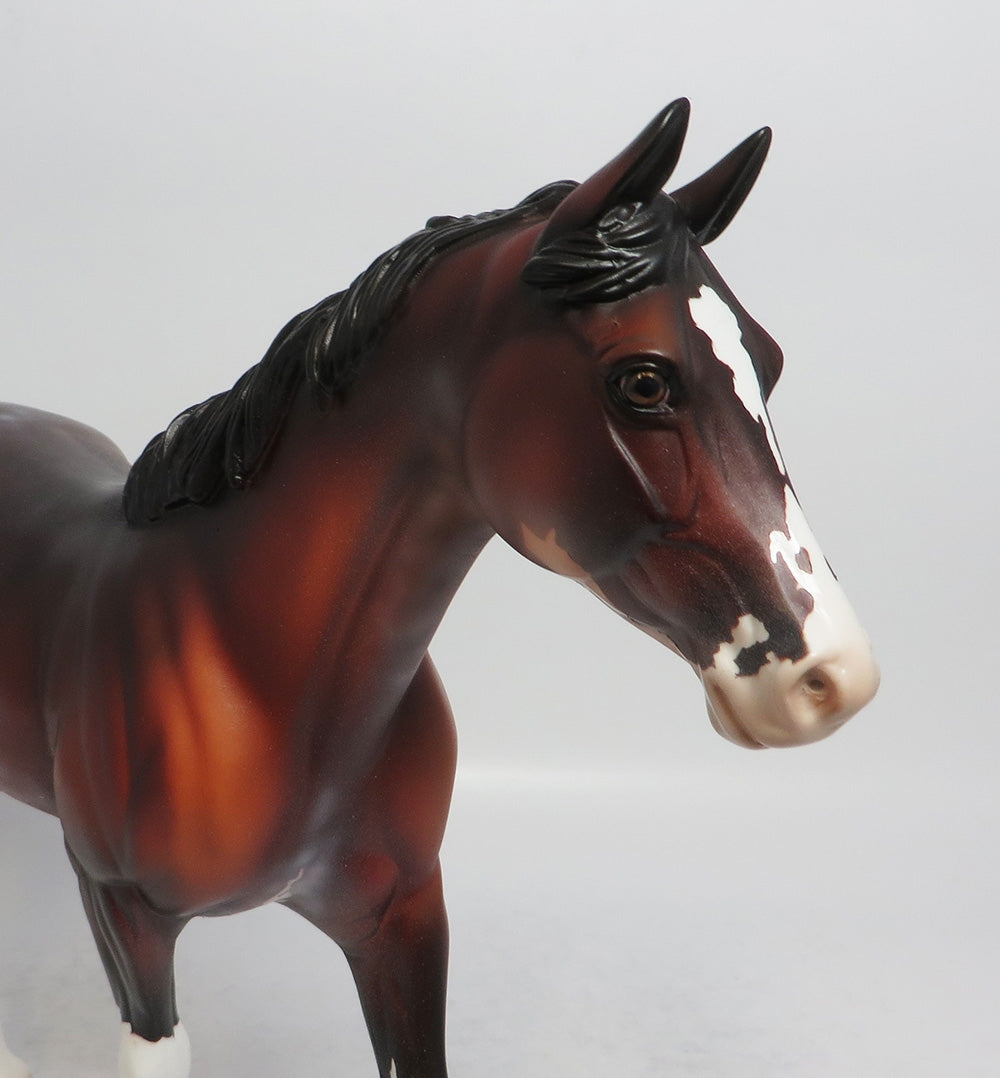 REDNECK - OOAK BAY PINTO PALOUSE MODEL HORSE SHCF2018