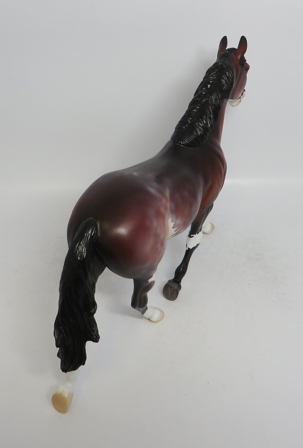REDNECK - OOAK BAY PINTO PALOUSE MODEL HORSE SHCF2018