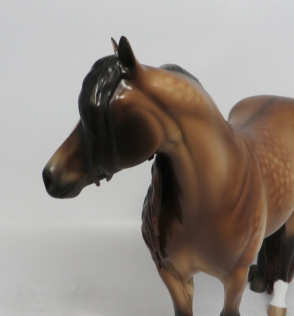 GLEAM DAPPLE BUCKSKIN ISH BY SHERYL LEISURE SHCF 2018