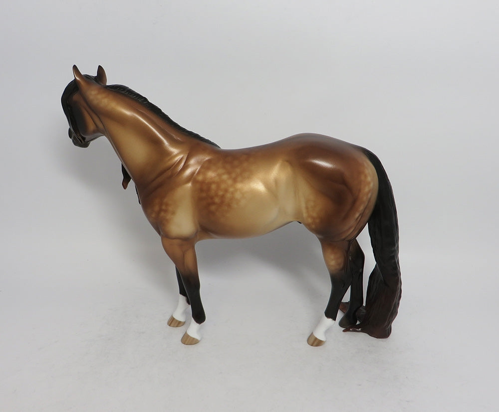 GLEAM DAPPLE BUCKSKIN ISH BY SHERYL LEISURE SHCF 2018