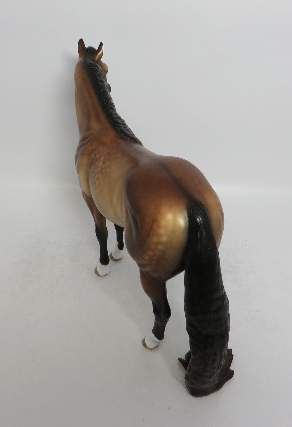 GLEAM DAPPLE BUCKSKIN ISH BY SHERYL LEISURE SHCF 2018