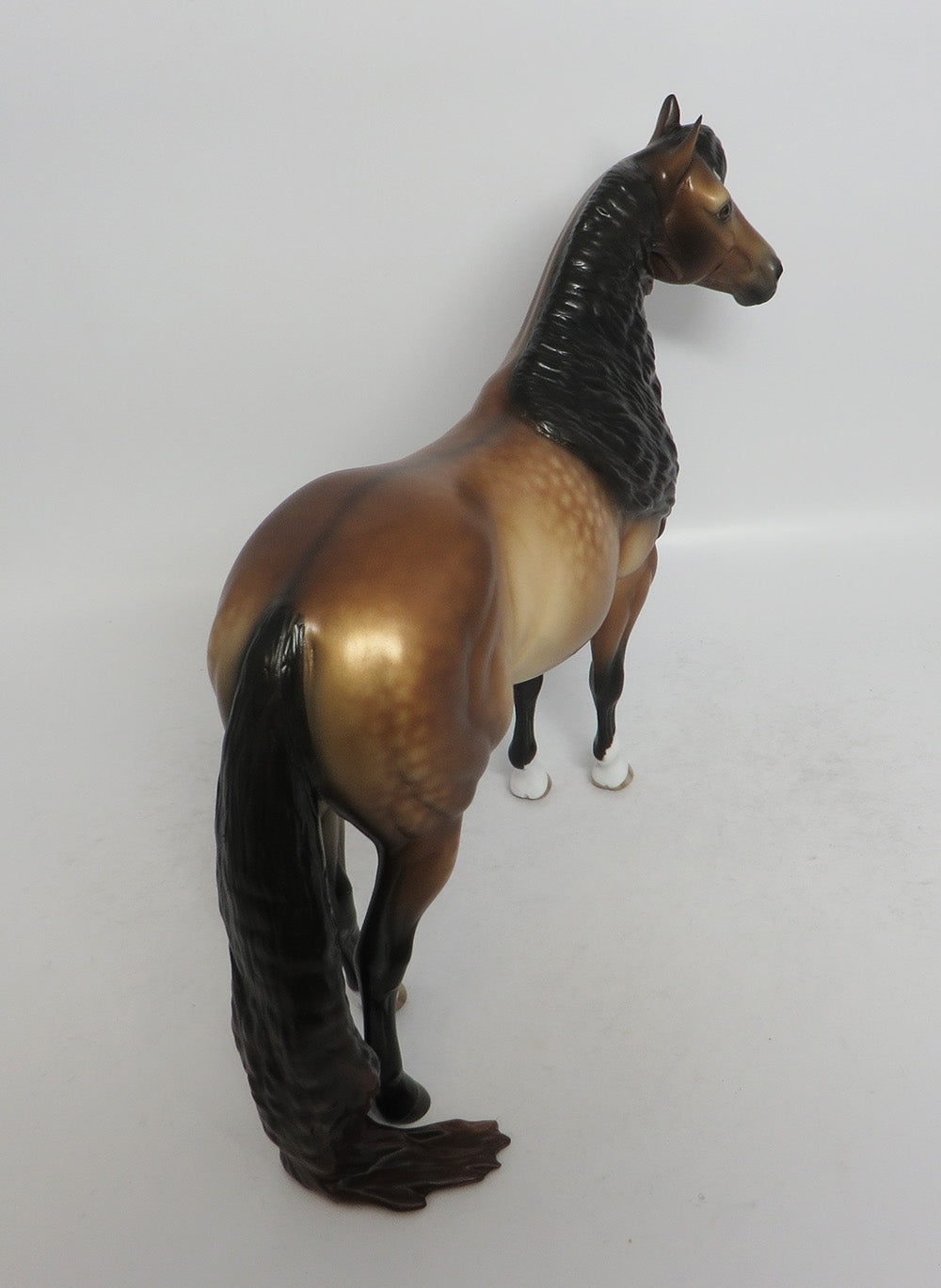 GLEAM DAPPLE BUCKSKIN ISH BY SHERYL LEISURE SHCF 2018