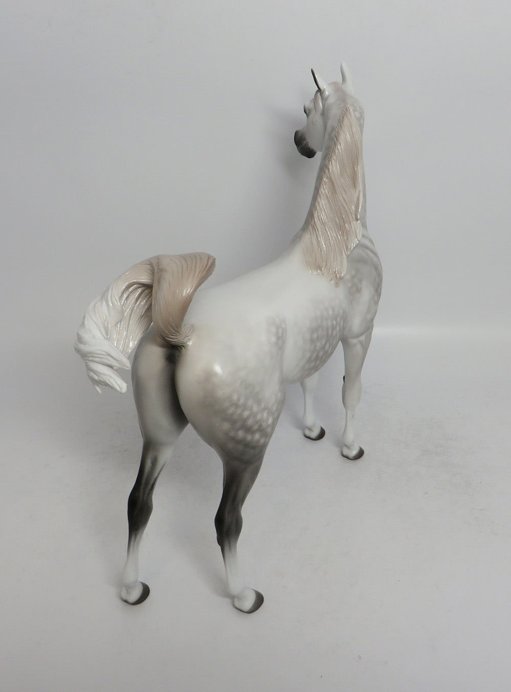 SHIMMER-OOAK STAR DAPPLE ARABIAN BY SHERYL LEISURE SHCF 2018