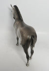 MR. SNOW-OOAK STAR DAPPLE ANDALUSIAN MODEL HORSE 12/14/18