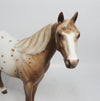 appaloosa