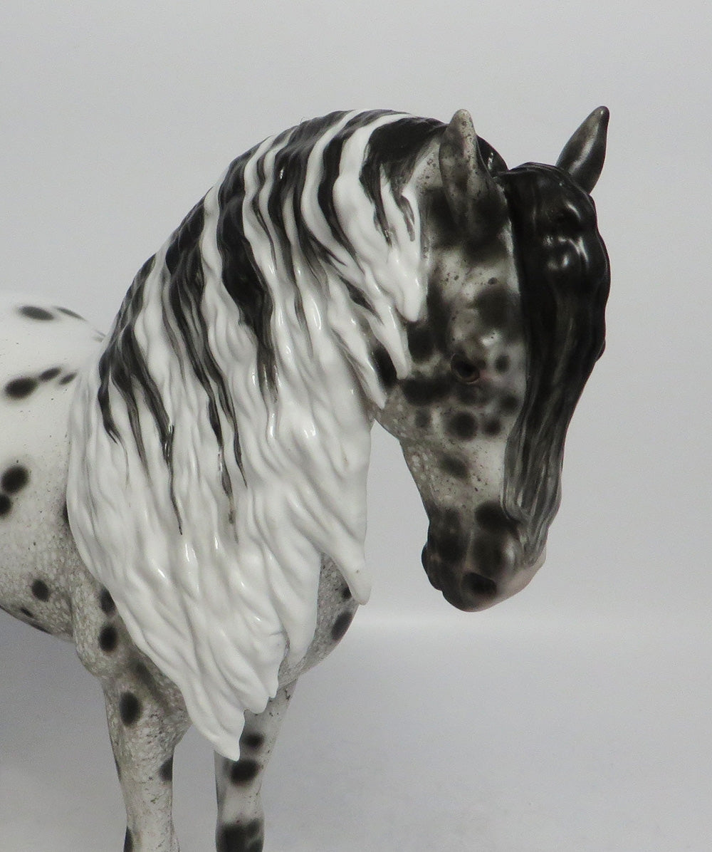 TWINKLE-OOAK LOUD LEOPARD ANDALUSIAN BY SHERYL LEISURE SHCF 2018