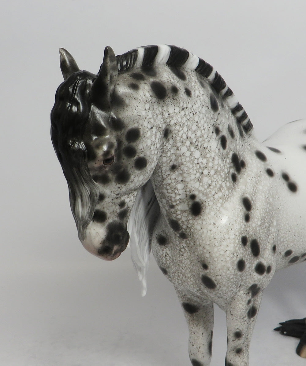 TWINKLE-OOAK LOUD LEOPARD ANDALUSIAN BY SHERYL LEISURE SHCF 2018