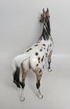 DIXIE SNOW-OOAK BAY APPALOOSA ARABIAN  MODEL HORSE BY SHERYL LEISURE 12/14/18