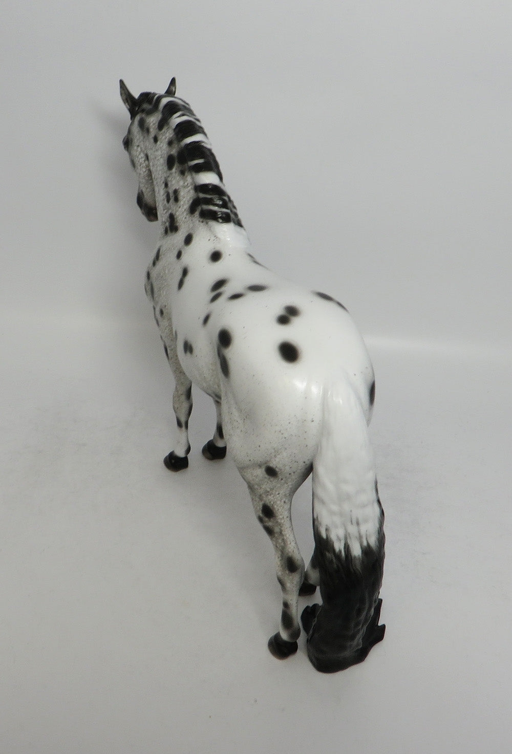 TWINKLE-OOAK LOUD LEOPARD ANDALUSIAN BY SHERYL LEISURE SHCF 2018