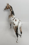 DIXIE SNOW-OOAK BAY APPALOOSA ARABIAN  MODEL HORSE BY SHERYL LEISURE 12/14/18