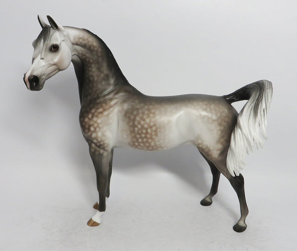 THISTLEWHITE-OOAK STAR DAPPLE GREY ARABIAN MODEL HORSE 12/14/18 - Stone ...