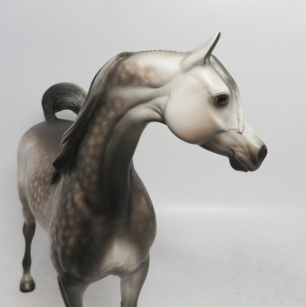 THISTLEWHITE-OOAK STAR DAPPLE GREY ARABIAN MODEL HORSE 12/14/18