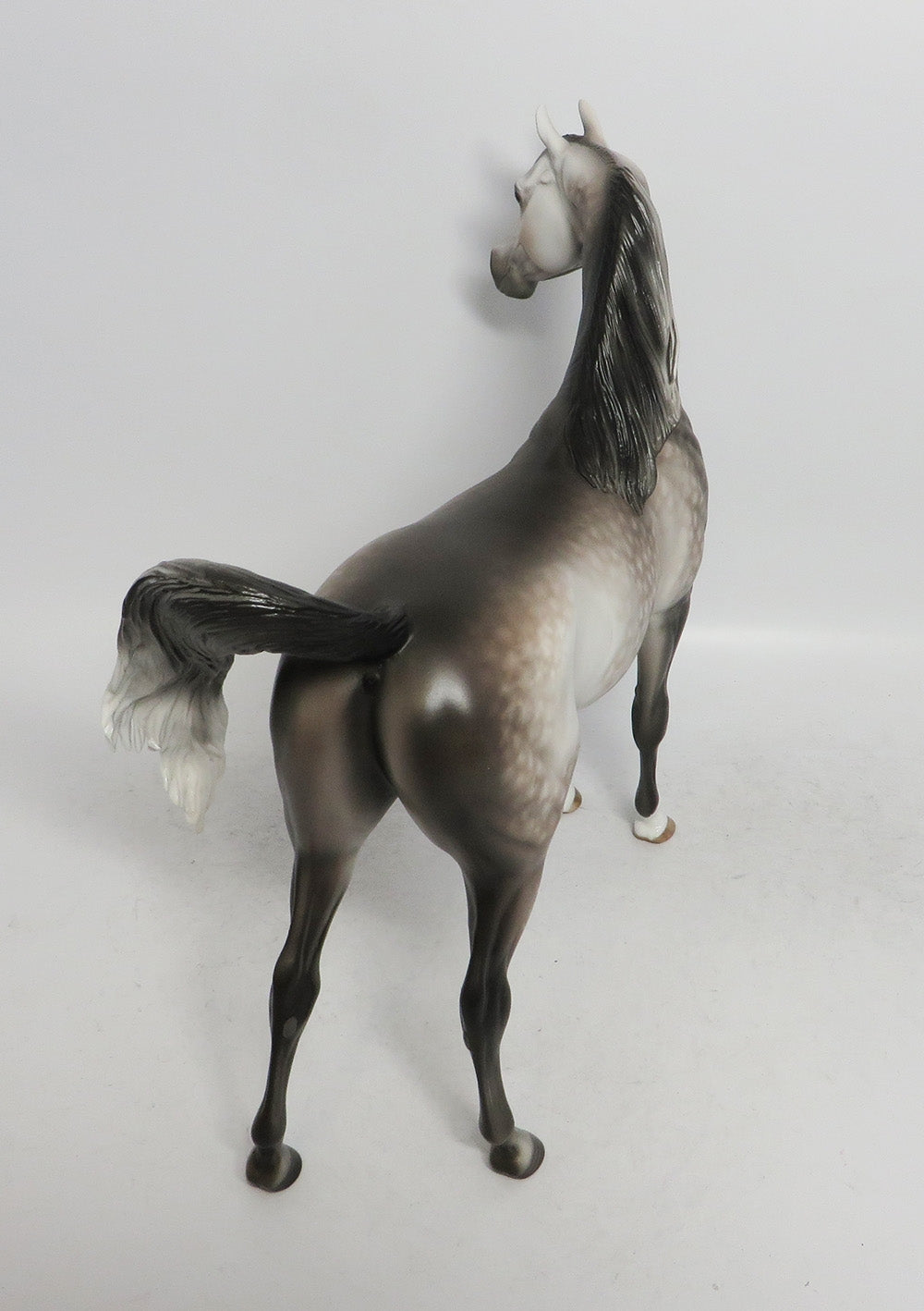 THISTLEWHITE-OOAK STAR DAPPLE GREY ARABIAN MODEL HORSE 12/14/18