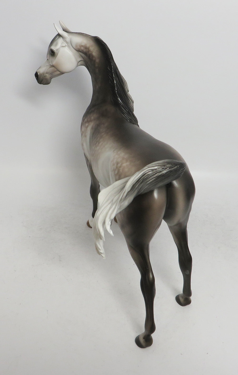 THISTLEWHITE-OOAK STAR DAPPLE GREY ARABIAN MODEL HORSE 12/14/18