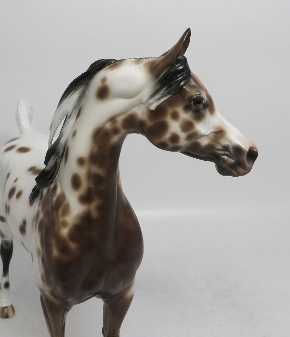 FLASHY-OOAK BAY LEOPARD APPALOOSA ARABIAN BY SHERYL LEISURE SHCF 2018