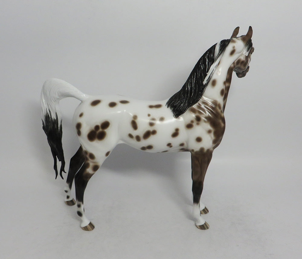 FLASHY-OOAK BAY LEOPARD APPALOOSA ARABIAN BY SHERYL LEISURE SHCF 2018
