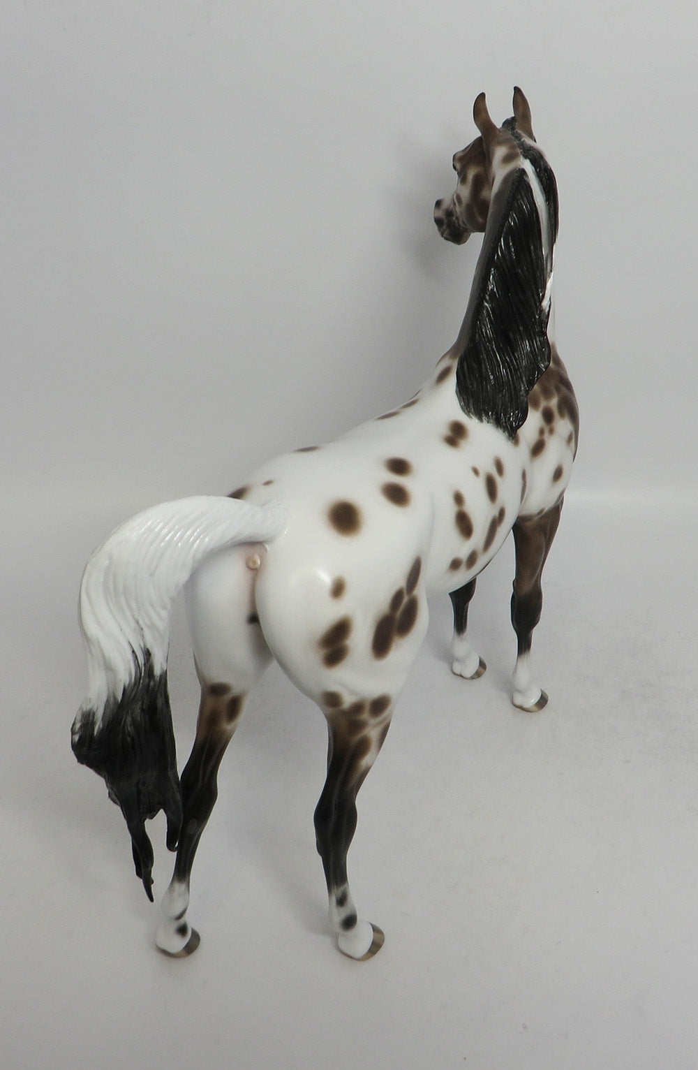 FLASHY-OOAK BAY LEOPARD APPALOOSA ARABIAN BY SHERYL LEISURE SHCF 2018