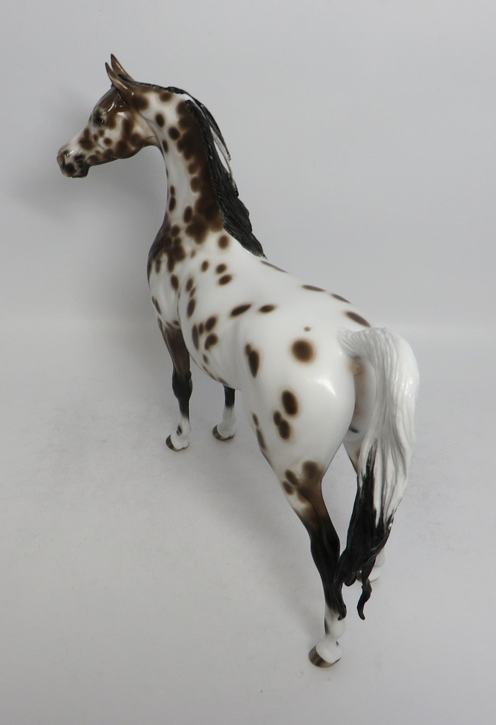 FLASHY-OOAK BAY LEOPARD APPALOOSA ARABIAN BY SHERYL LEISURE SHCF 2018