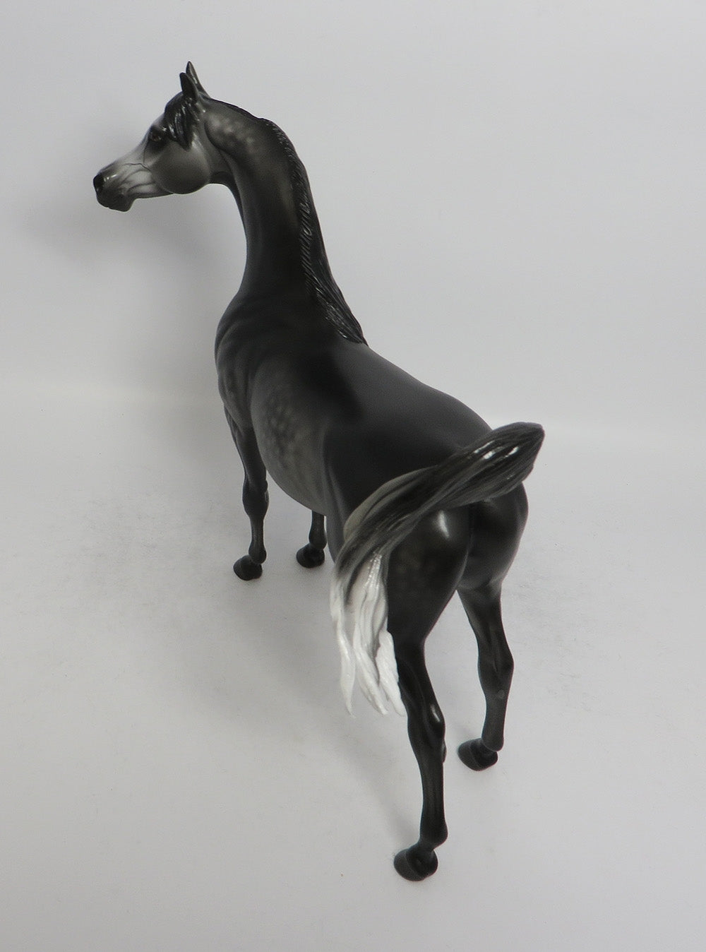 GLINT-OOAK DARK DAPPLE GREY ARABIAN BY SHERYL LEISURE SHCF 2018