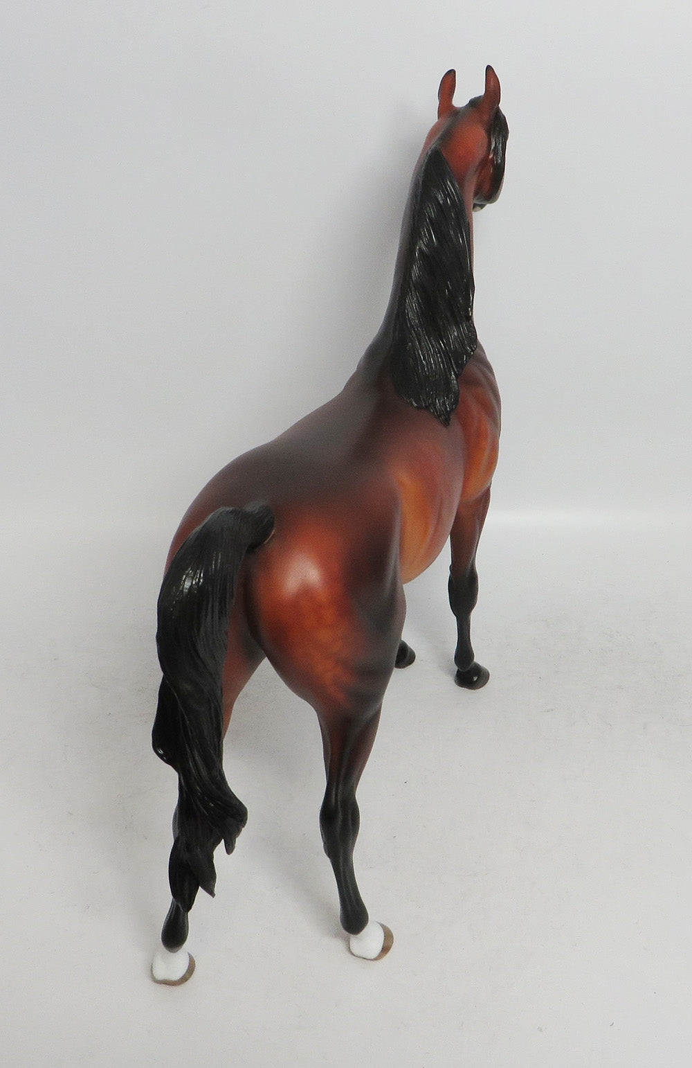 HEAT MISER-OOAK DAPPLE GOLDEN BAY ARABIAN HORSE 12/14/18