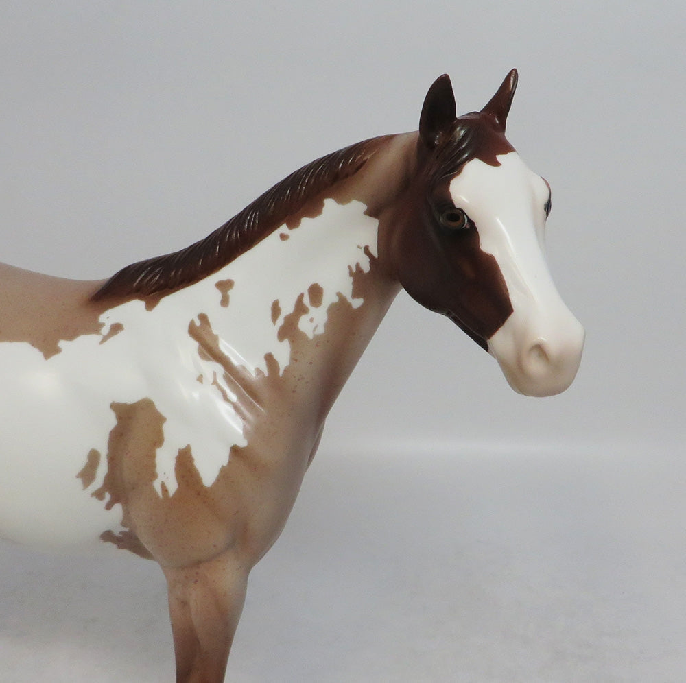 HOEDOWN-LE-4 CHESTNUT PINTO ISH MODEL HORSE SHCF 2018