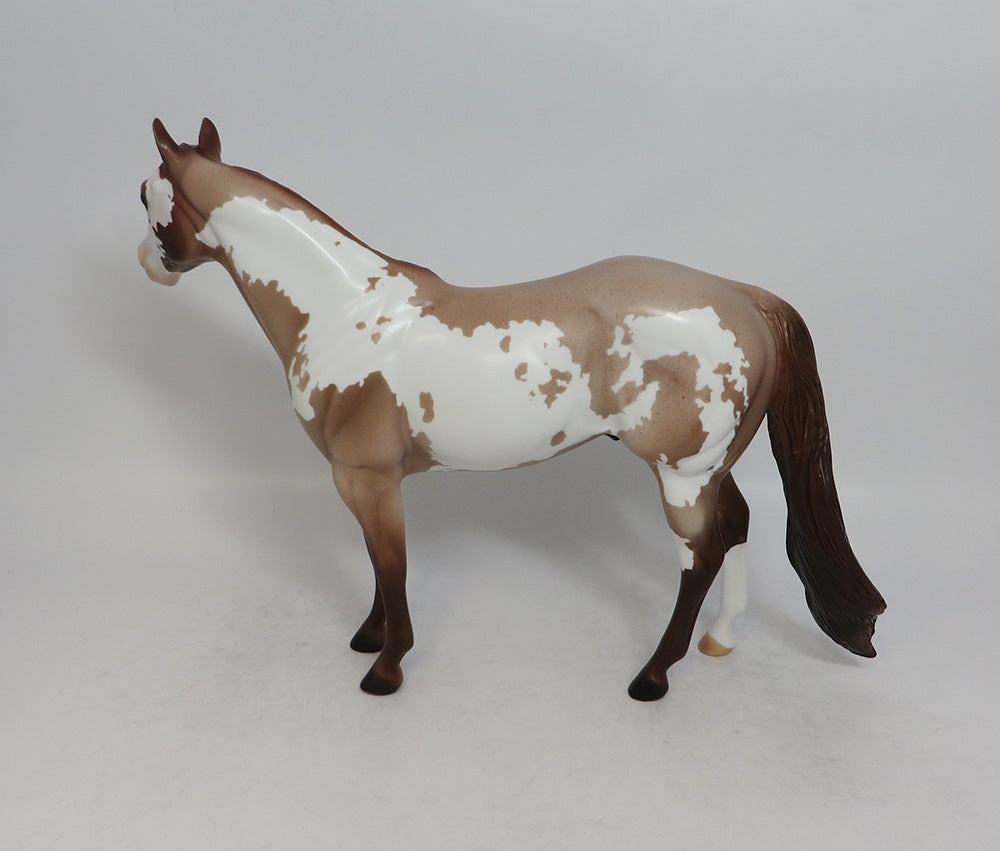 HOEDOWN-LE-4 CHESTNUT PINTO ISH MODEL HORSE SHCF 2018