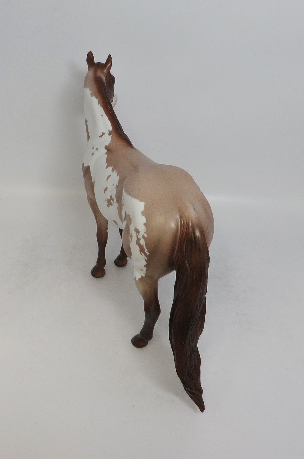 HOEDOWN-LE-4 CHESTNUT PINTO ISH MODEL HORSE SHCF 2018