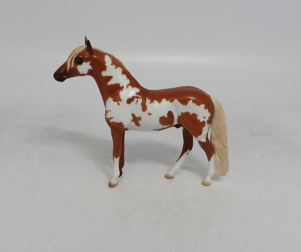 LOOKING FOR LOVE - LE8 CHESTNUT PINTO ANDALUSIAN CHIP SHCF2018