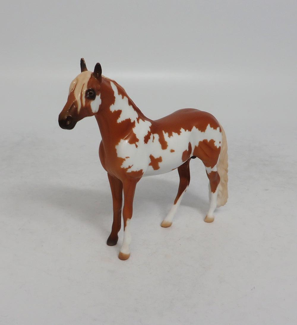 LOOKING FOR LOVE - LE8 CHESTNUT PINTO ANDALUSIAN CHIP SHCF2018