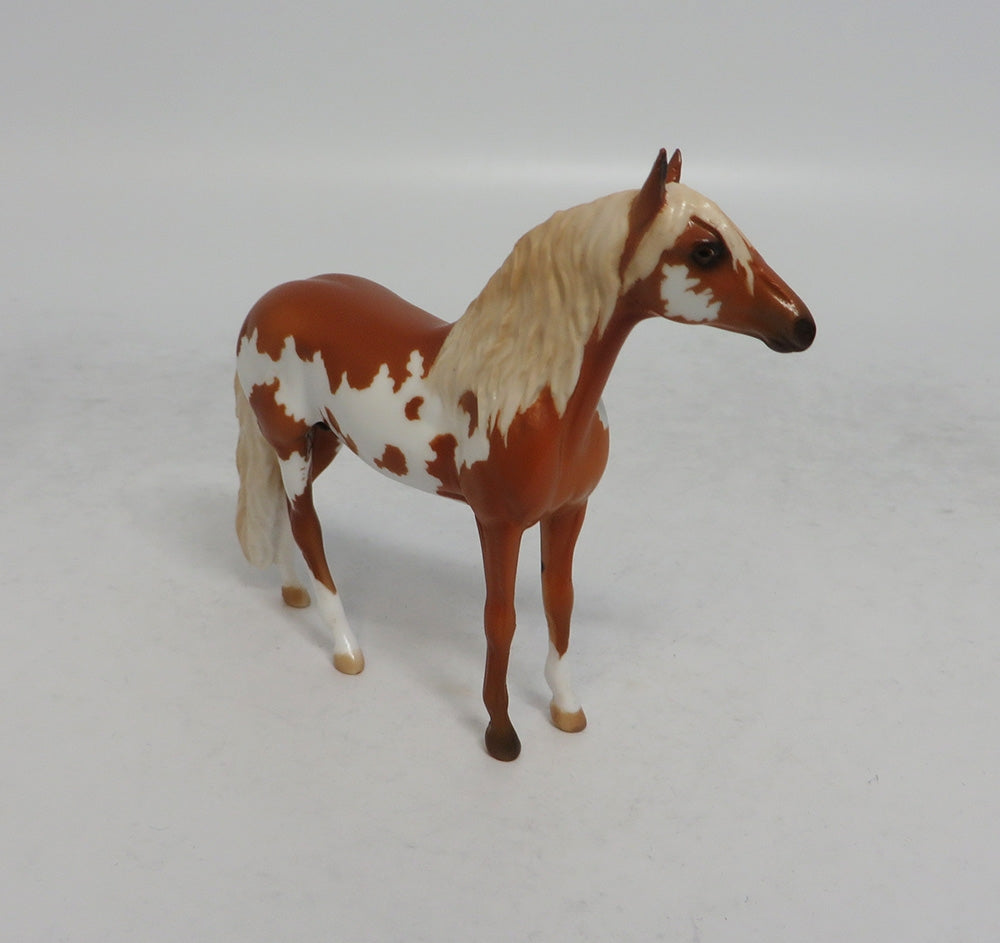 LOOKING FOR LOVE - LE8 CHESTNUT PINTO ANDALUSIAN CHIP SHCF2018