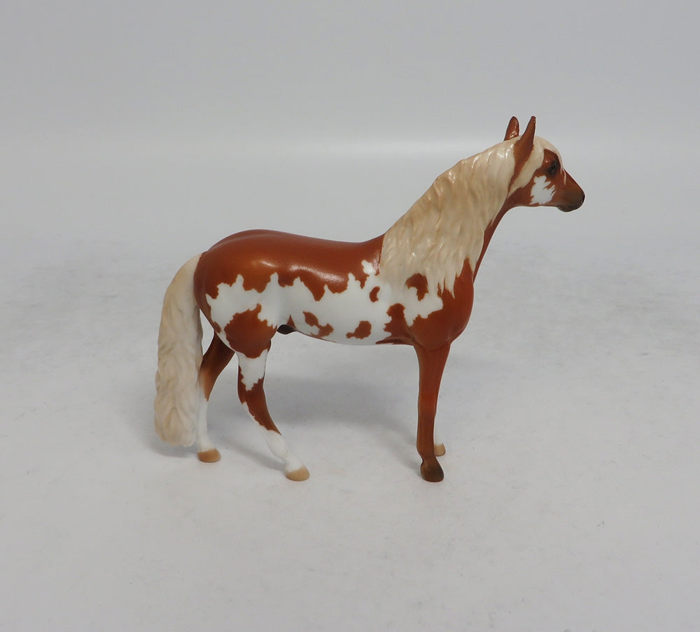 LOOKING FOR LOVE - LE8 CHESTNUT PINTO ANDALUSIAN CHIP SHCF2018