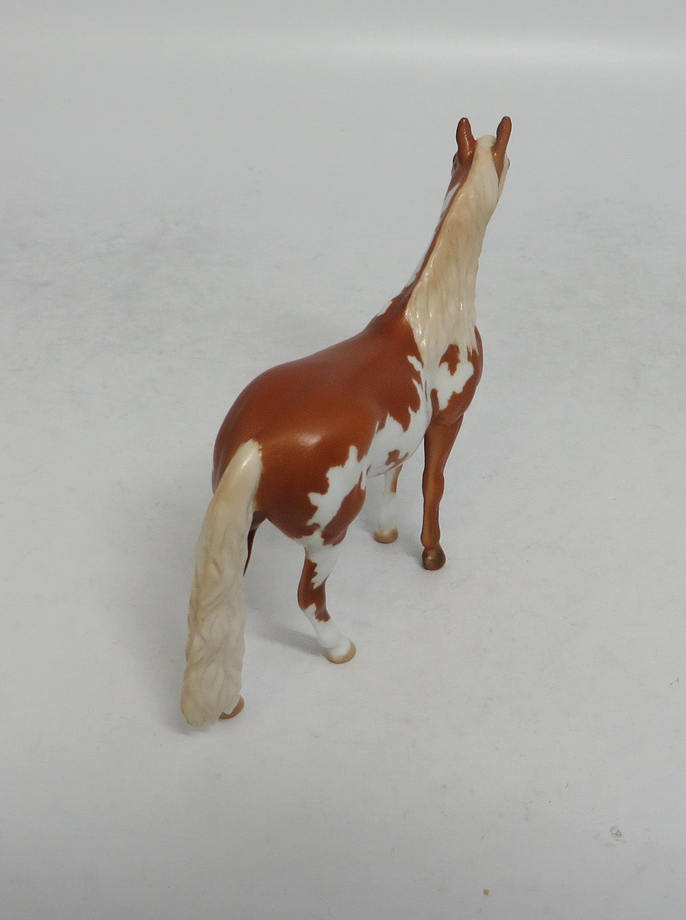 LOOKING FOR LOVE - LE8 CHESTNUT PINTO ANDALUSIAN CHIP SHCF2018