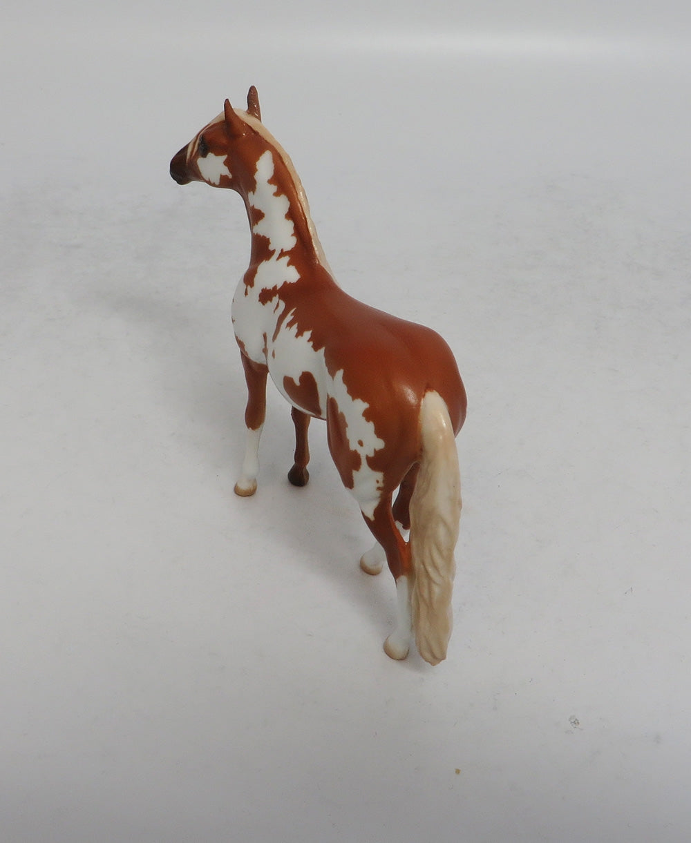 LOOKING FOR LOVE - LE8 CHESTNUT PINTO ANDALUSIAN CHIP SHCF2018