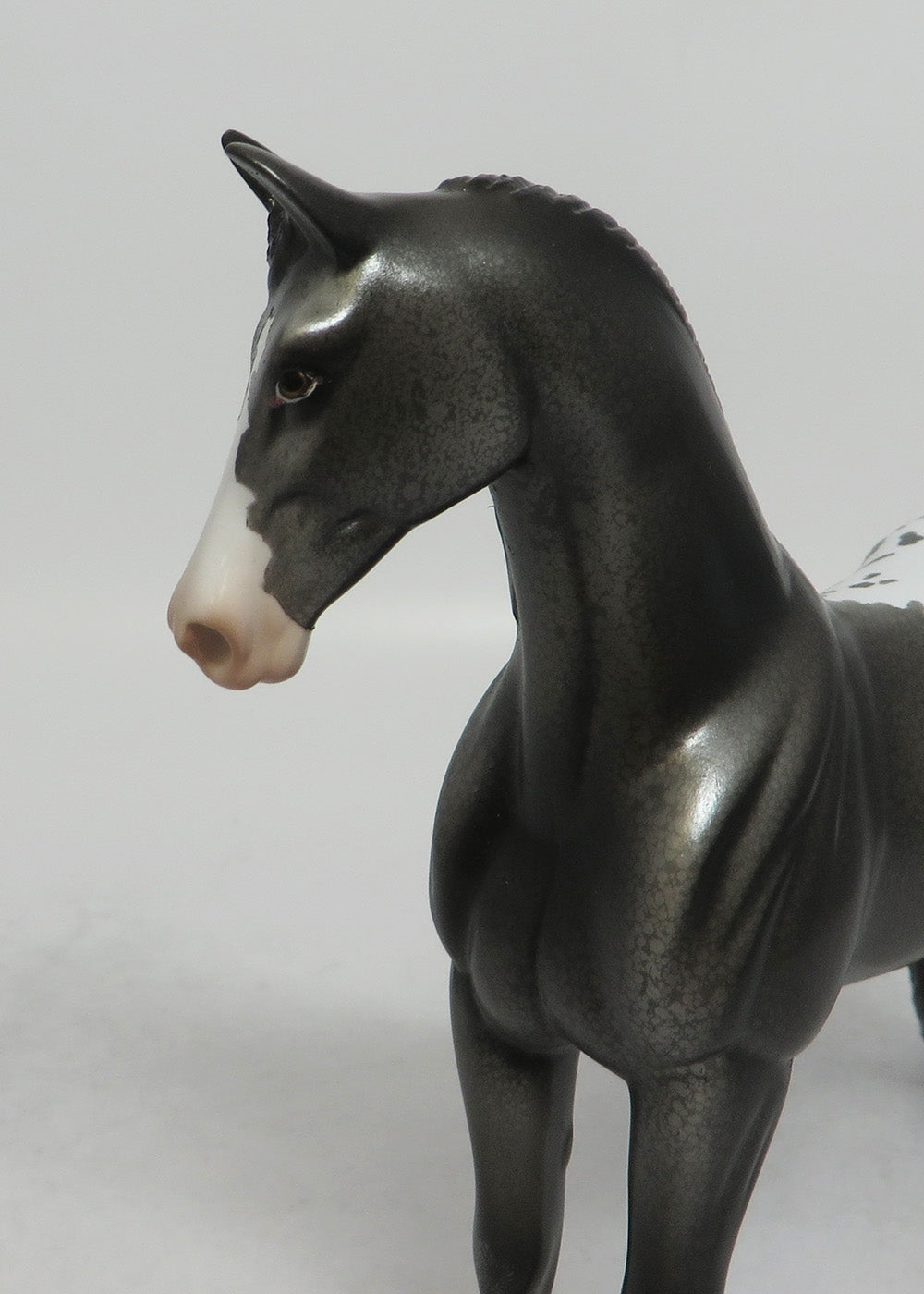 LITTLE MISS POETRY - OOAK BLACK APPALOOSA PEBBLES MODEL HORSE SHCF2018