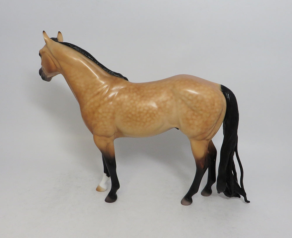CABO-OOAK DAPPLE BUCKSKIN ISH MODEL HORSE BY CAROLINE BOYDSTON 5/17/18