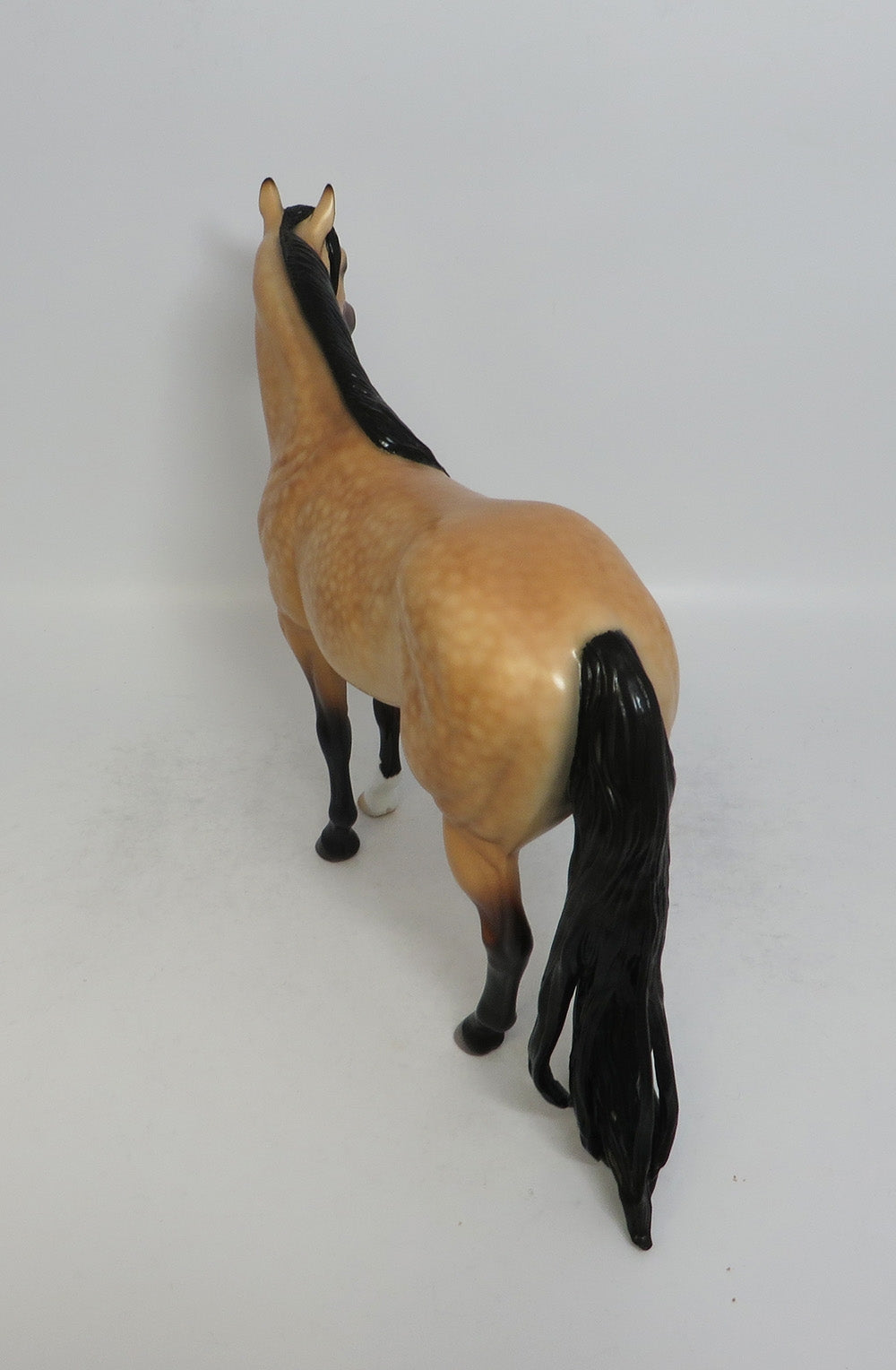 CABO-OOAK DAPPLE BUCKSKIN ISH MODEL HORSE BY CAROLINE BOYDSTON 5/17/18