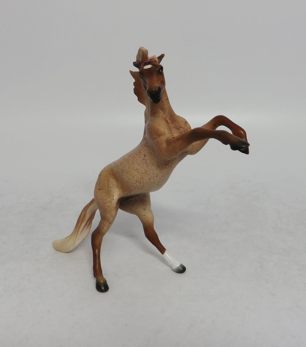 NOVA MINI - LE25 STRAWBERRY ROAN REARING CHIP SHCF2018