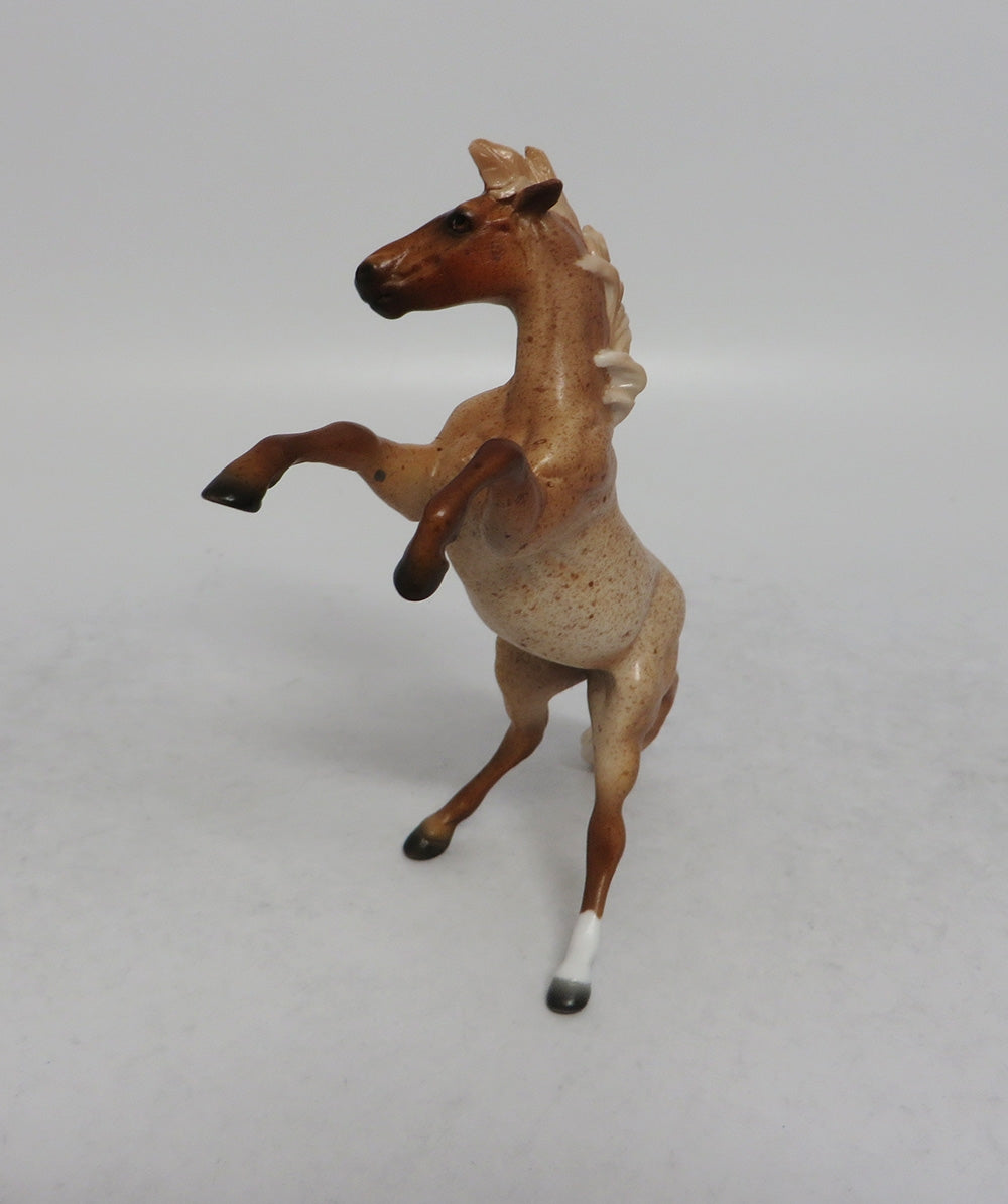 NOVA MINI - LE25 STRAWBERRY ROAN REARING CHIP SHCF2018