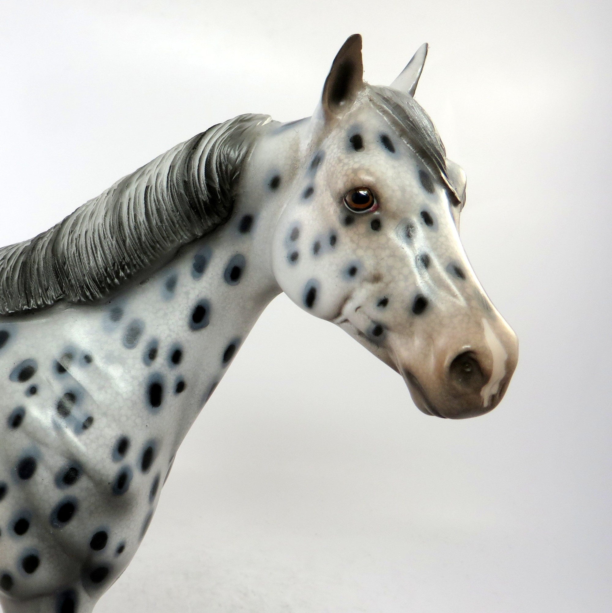 SPITZ-OOAK APPALOOSA ISH MODEL HORSE BY AUDREY DIXON 12/22/18