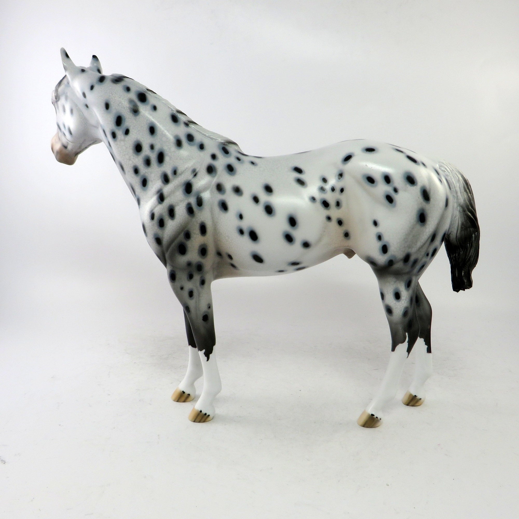 SPITZ-OOAK APPALOOSA ISH MODEL HORSE BY AUDREY DIXON 12/22/18