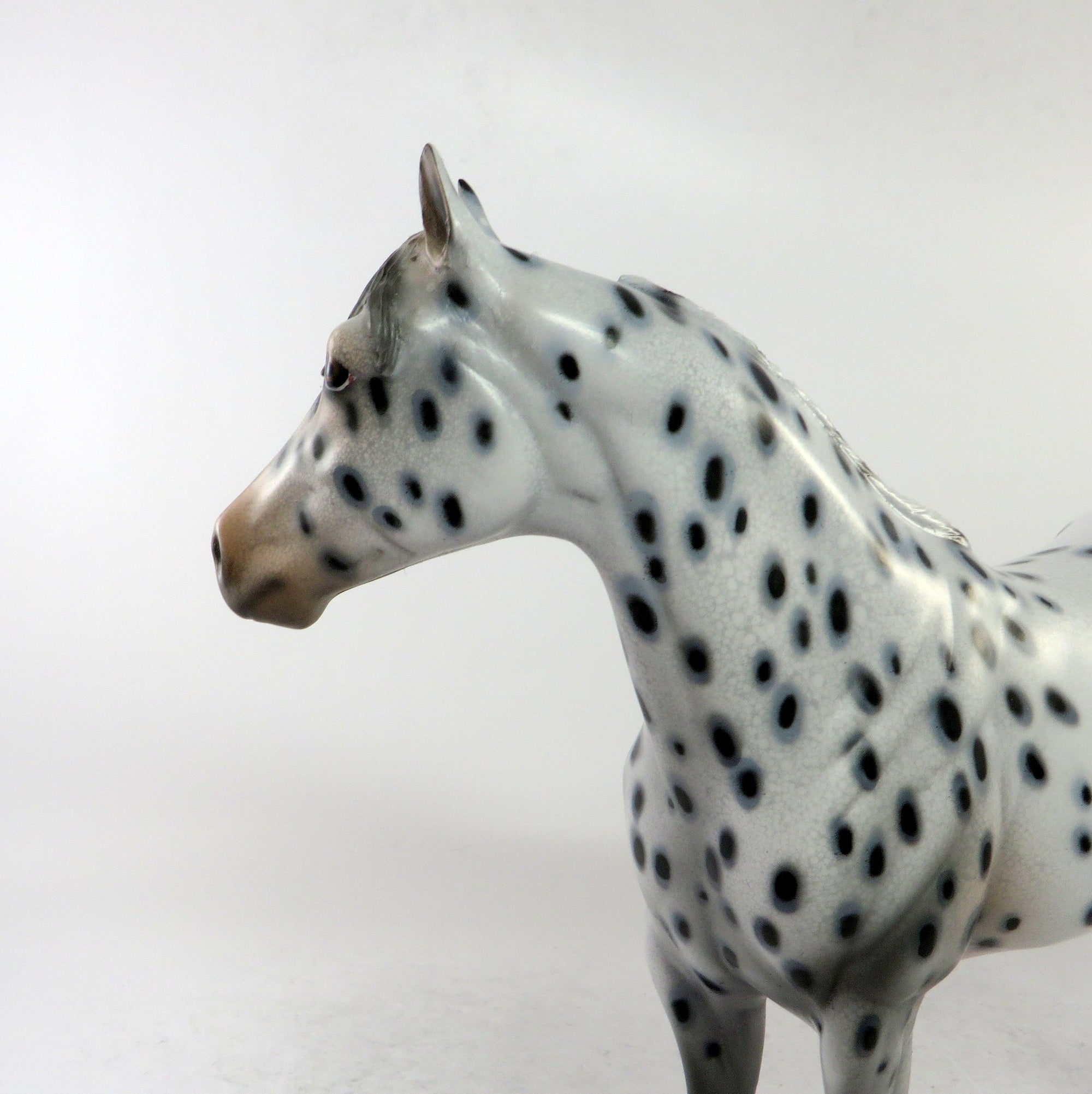 SPITZ-OOAK APPALOOSA ISH MODEL HORSE BY AUDREY DIXON 12/22/18