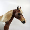 COCO CHANNEL-LE-6 DAPPLE CHESTNUT PAINT ISH MODEL HORSE BY AUDREY DIXON 12/21/18
