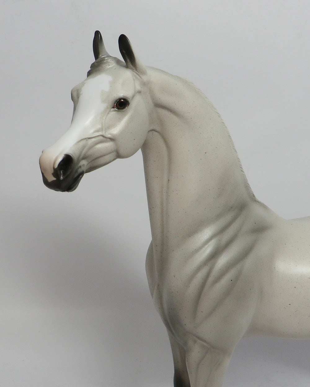 RECKON - OOAK FLEA BITTEN GREY ARABIAN MODEL HORSE SHCF2018