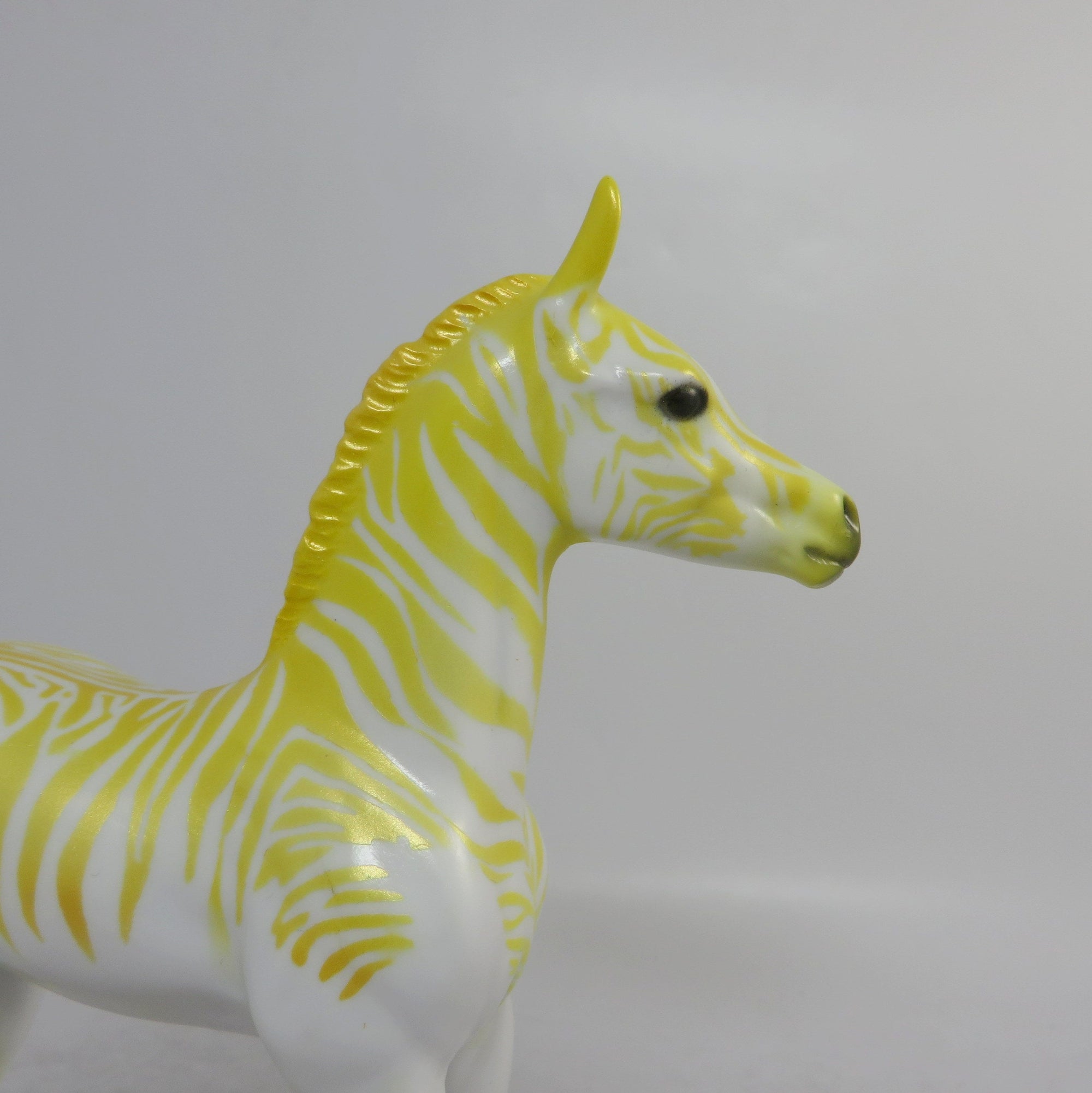 FRUIT STRIPE &quot;LEMON&quot; LE-29 STRIPE FOAL-PRE-ORDER 12/21/18