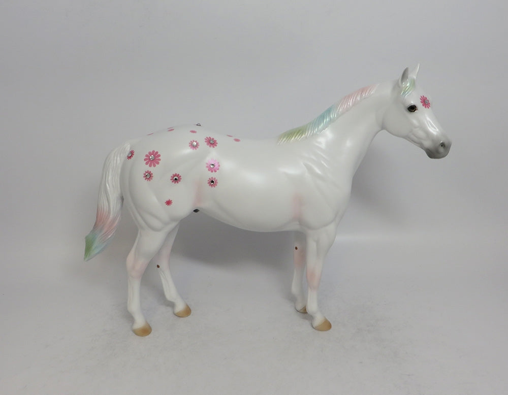 DAISY BOY PINK - OOAK PINK DAISY APPALOOSA DECORATOR ISH SHCF2018