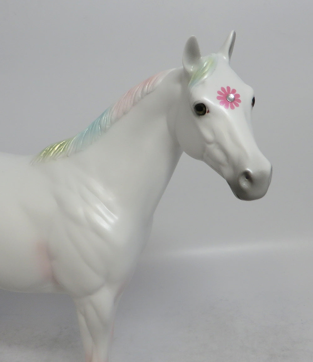 DAISY BOY PINK - OOAK PINK DAISY APPALOOSA DECORATOR ISH SHCF2018