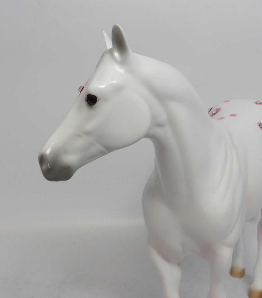 DAISY BOY PINK - OOAK PINK DAISY APPALOOSA DECORATOR ISH SHCF2018