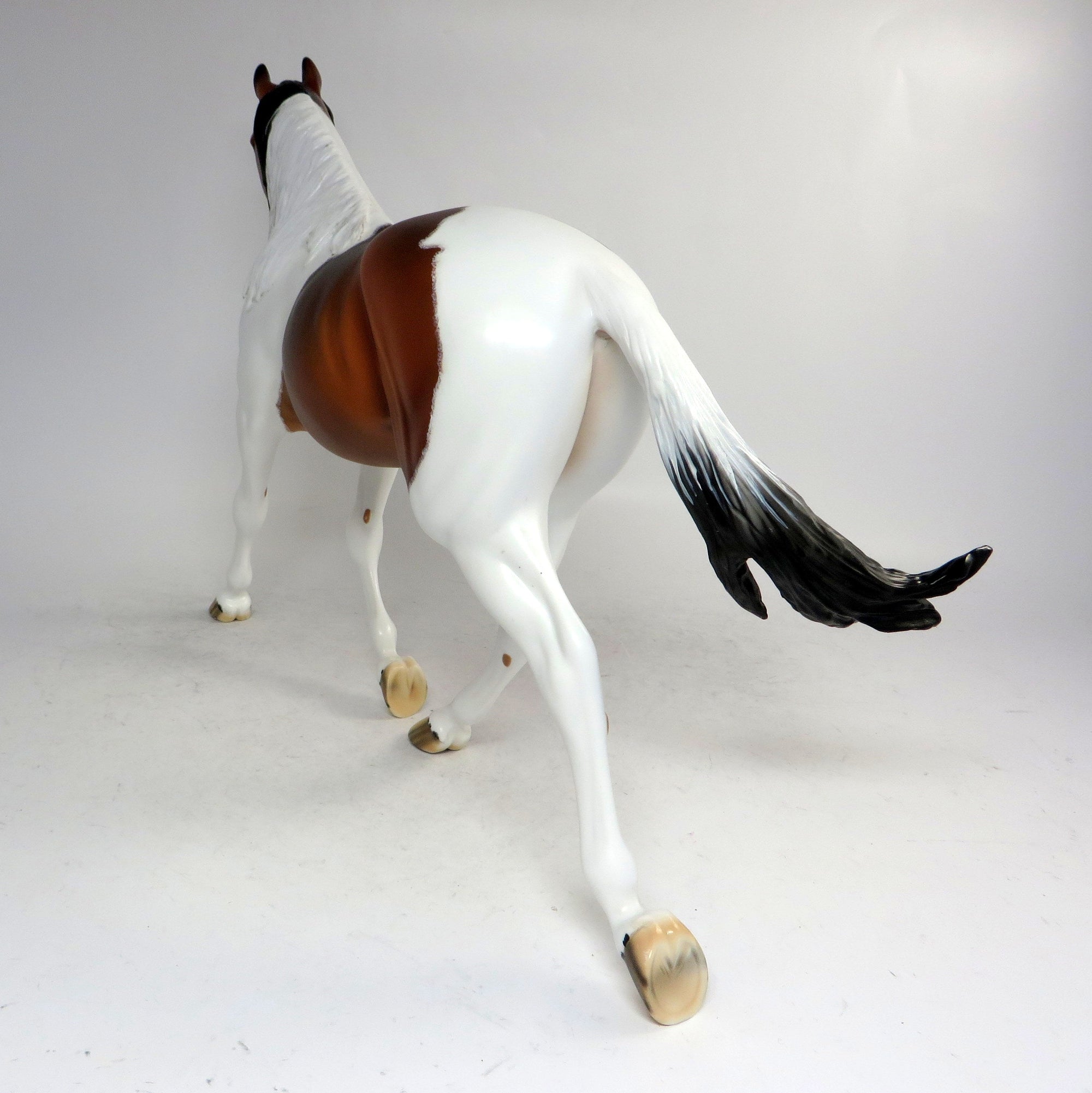 SCOUT-OOAK PAINT PALOUSE MODEL HORSE BY DAWN QUICK 12/21/18